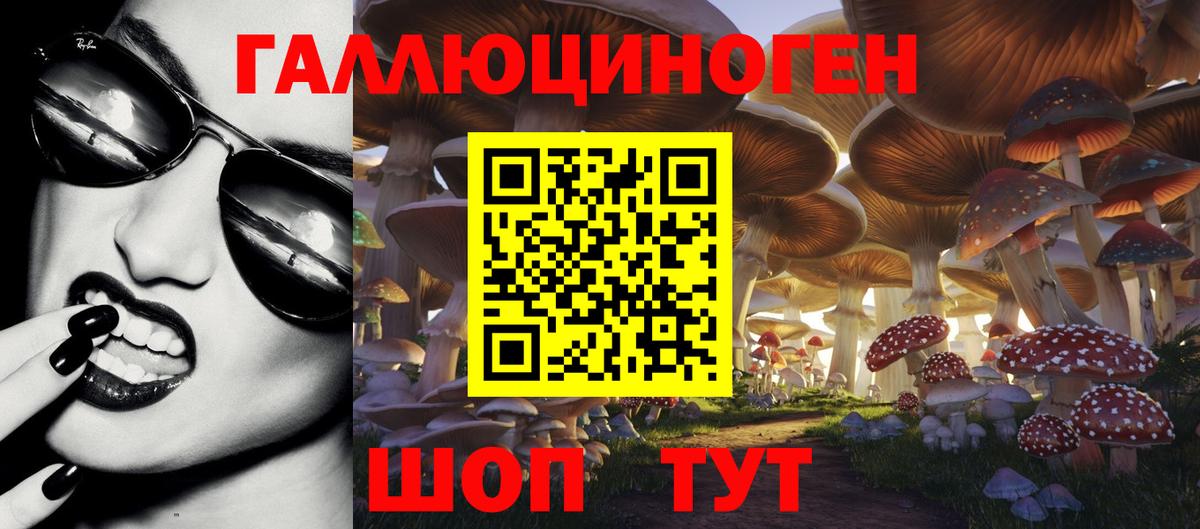 Псилоцибиновые грибы Psilocybine cubensis Заинск
