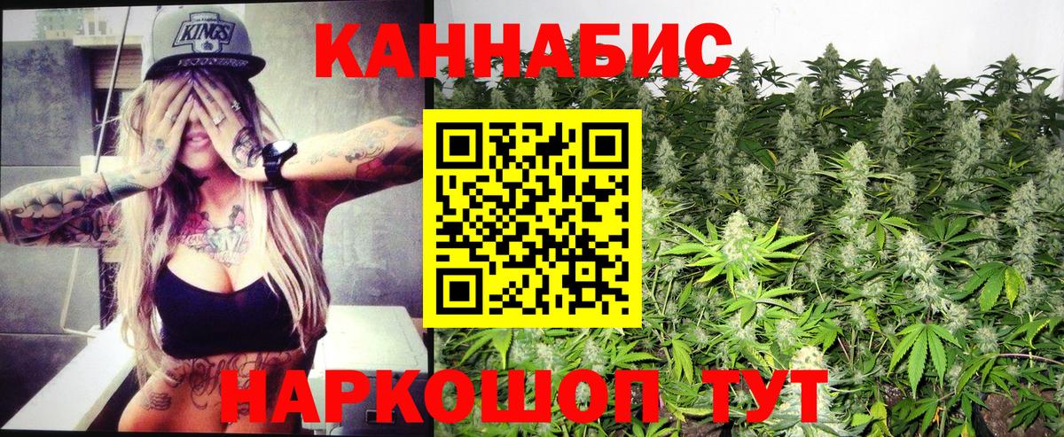Шишки марихуана планчик Заинск